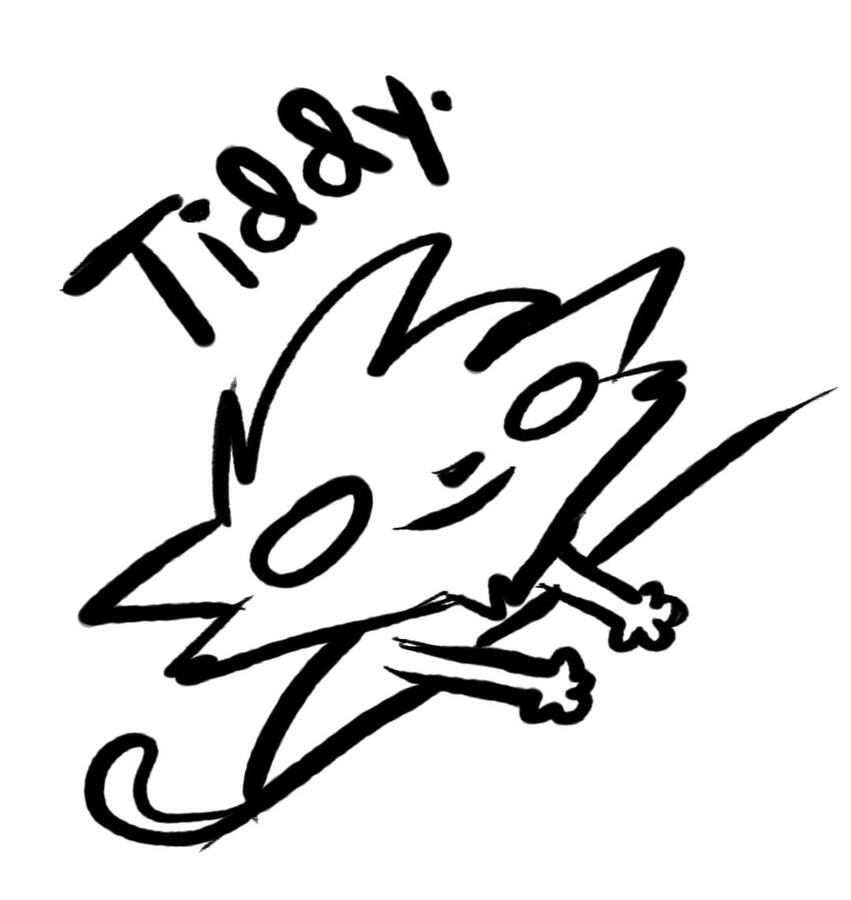 Tiddy